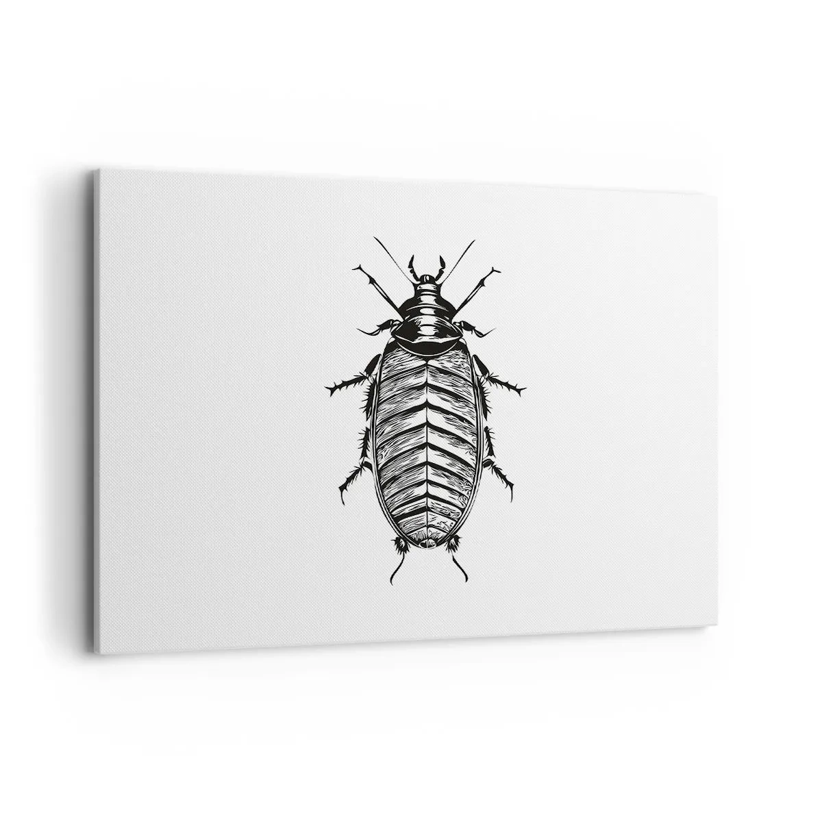 Impression sur toile - Image sur toile - Graphique d'un insecte noir et blanc sur fond blanc - 100x70cm - Quel spécimen! - Décoration murale moderne pour le salon et la chambre ARTTOR