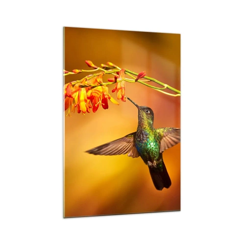 Impression sur verre - Image sur verre - Colibri près d'une fleur dans la lumière chaude - 70x100cm - Un messager de lumière selon les Mayas - Décoration murale moderne pour le salon et la chambre ARTTOR