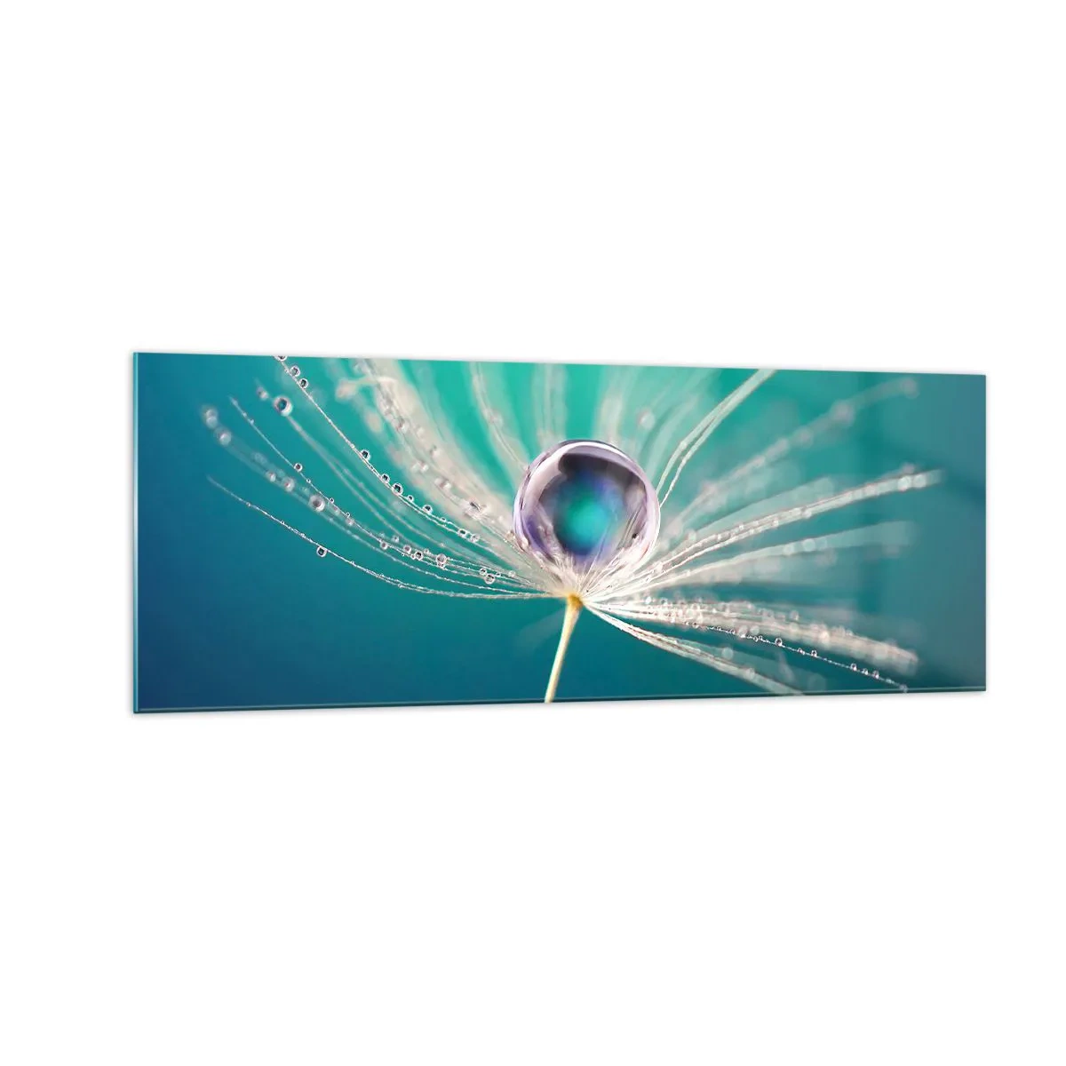 Impression sur verre - Image sur verre - Macro d'une goutte d'eau sur une délicate graine de pissenlit - 140x50cm - Moment mystique - Décoration murale moderne pour le salon et la chambre ARTTOR