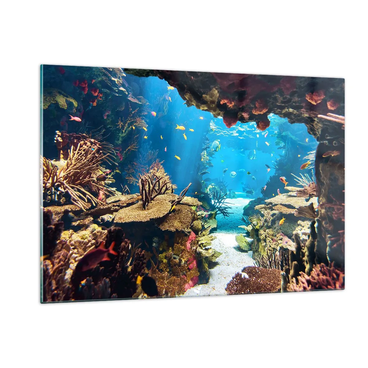 Impression sur verre - Image sur verre - Monde sous-marin avec récif corallien et poissons - 120x80cm - Tu ne l'as même pas rêvé - Décoration murale moderne pour le salon et la chambre ARTTOR
