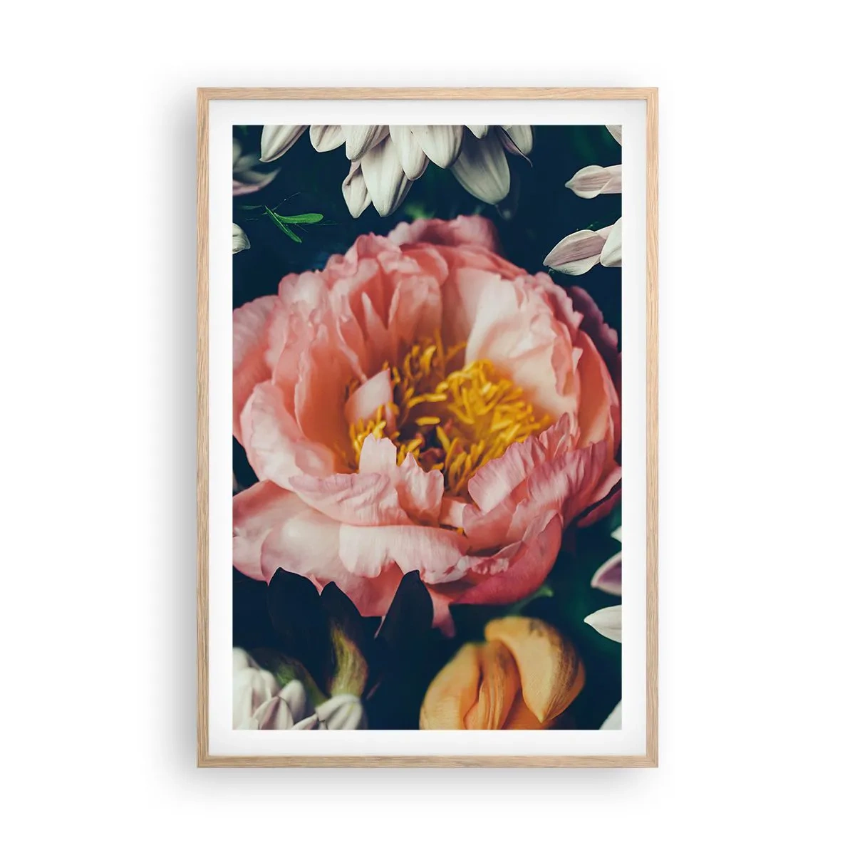 Affiche dans un chêne clair - Poster - Splendeur baroque - 61x91 cm