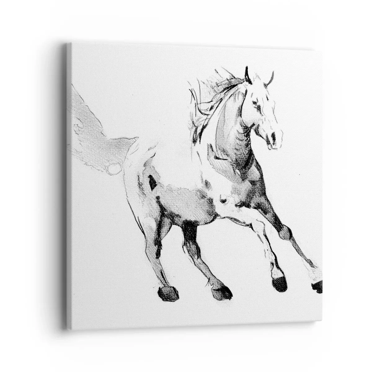 Impression sur toile - Image sur toile - Âme indomptée - 40x40 cm