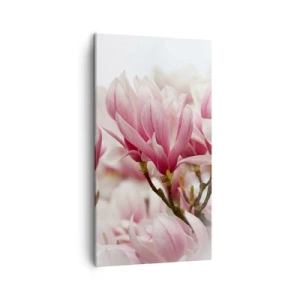 Impression sur toile - Image sur toile - Fleurs de printemps - 45x80 cm