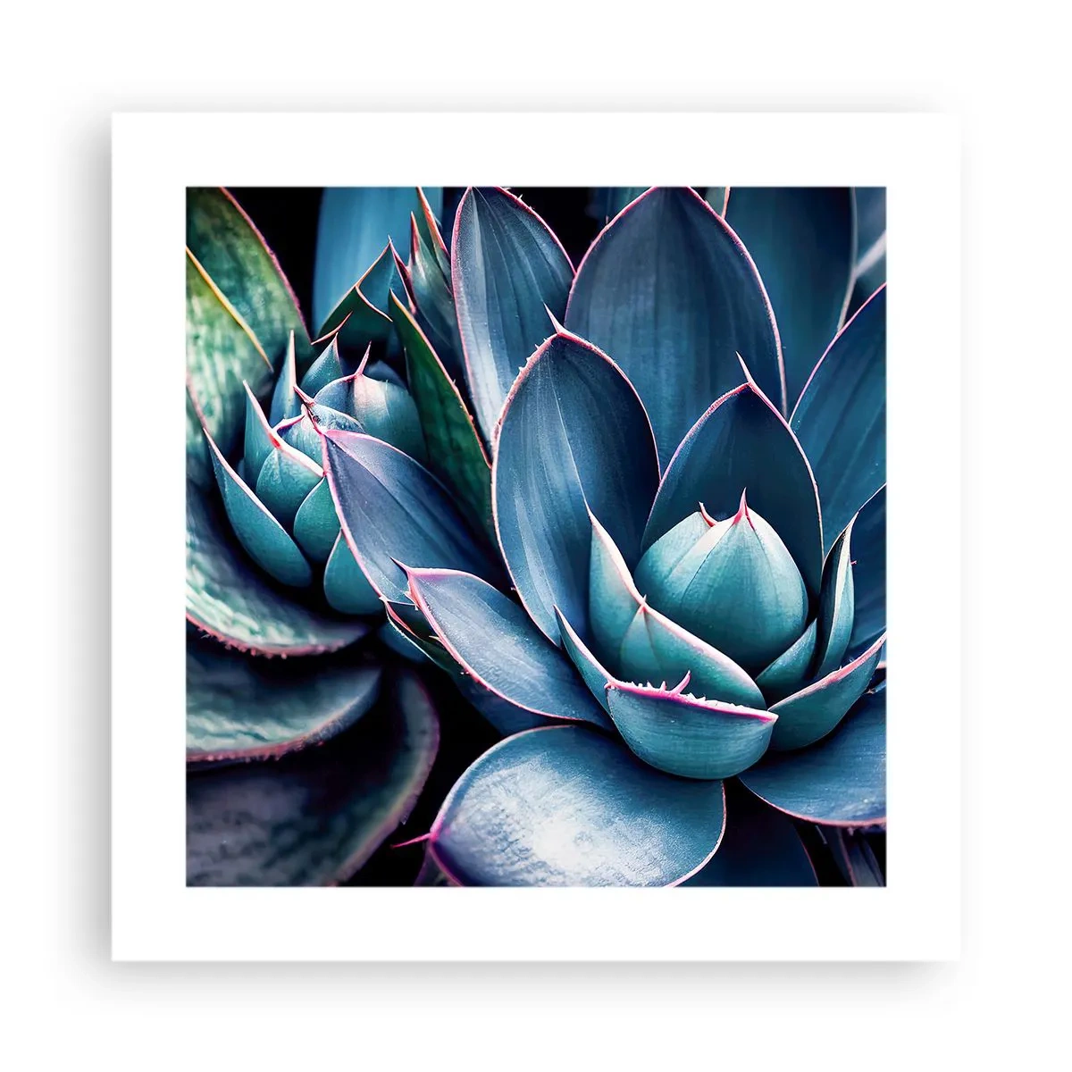 Affiche - Poster - Force vital - 40x40 cm