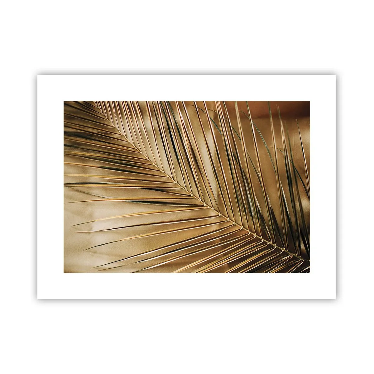 Affiche - Poster - Colonnade naturelle - 40x30 cm