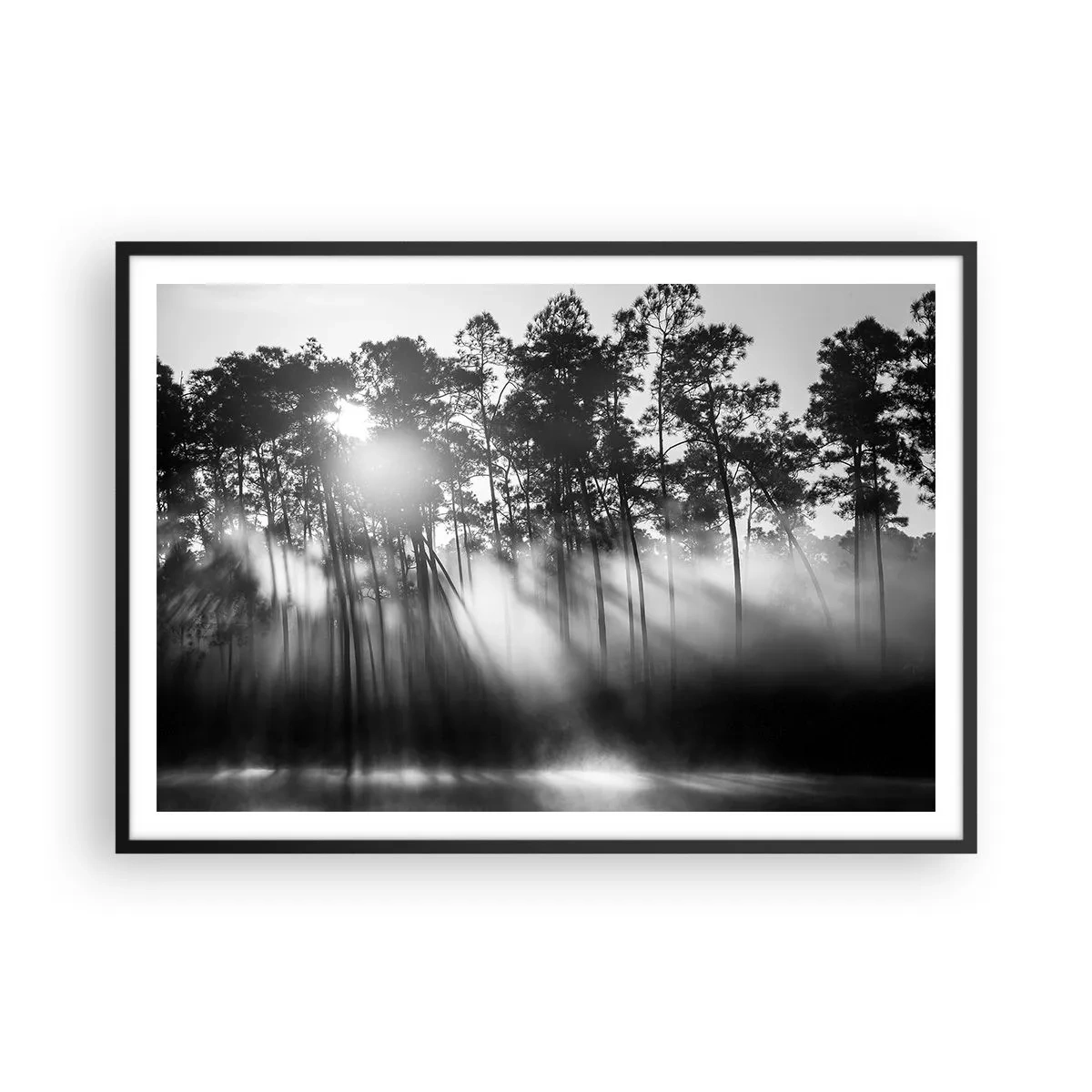 Affiche dans un cadre noir - Poster - Forêt noire et blanche dans le brouillard du matin - 100x70cm - Soleil inarrêtable - Décoration murale moderne pour le salon et la chambre ARTTOR
