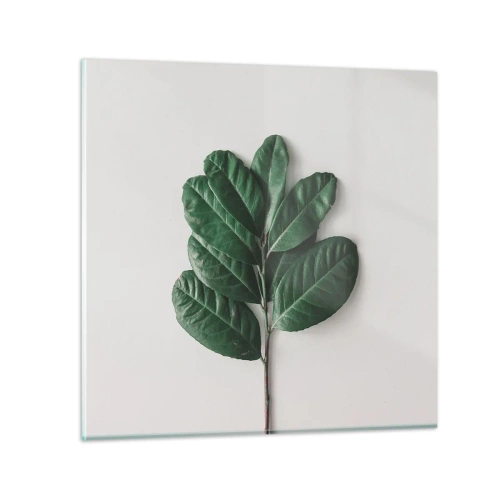 Impression sur verre - Image sur verre - Dessin de la nature elle-même - 60x60 cm