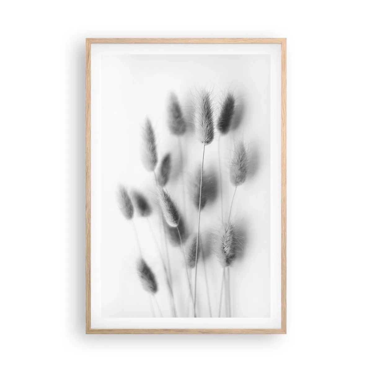 Affiche dans un chêne clair - Poster - Son herbe duveteuse - 61x91 cm