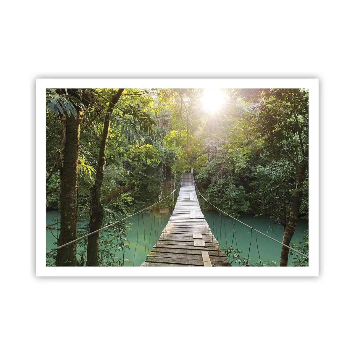 Affiche - Poster - Un pont suspendu dans une forêt tropicale illuminée par la lumière du soleil. - 100x70cm - De l'eau azur à la forêt azur - Décoration murale moderne pour le salon et la chambre ARTTOR
