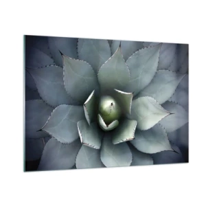 Impression sur verre - Image sur verre - Gros plan des feuilles d'agave symétriques de couleur acier. - 100x70cm - Wabi et observe - Décoration murale moderne pour le salon et la chambre ARTTOR