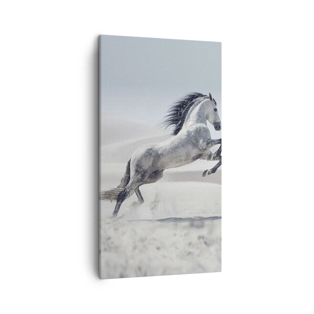 Impression sur toile - Image sur toile - Prince arabe - 45x80 cm