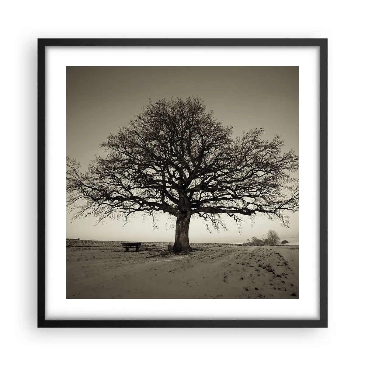 Affiche dans un cadre noir - Poster - D'ici à l'éternité - 50x50 cm