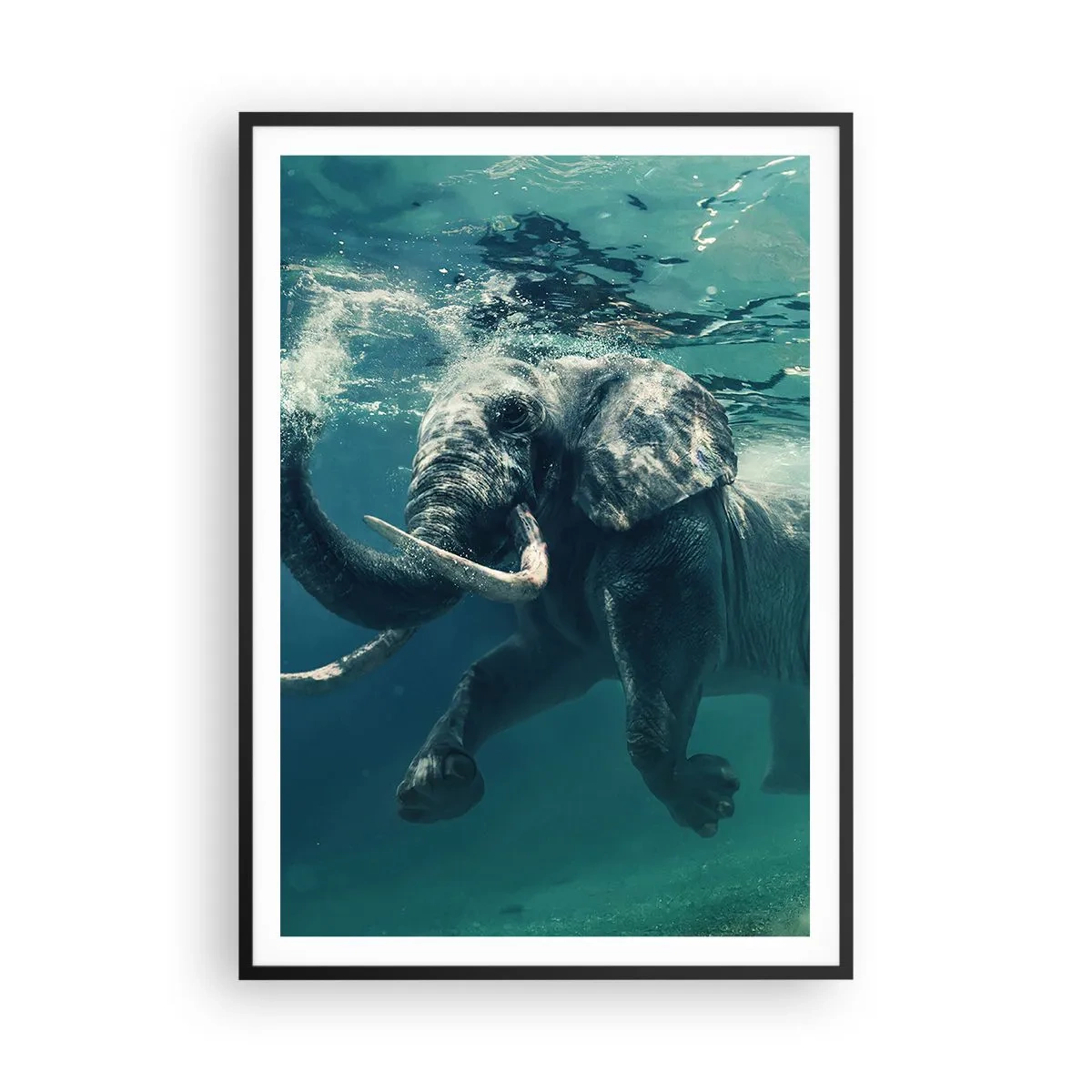 Affiche dans un cadre noir - Poster - Tout le monde aime nager - 70x100 cm