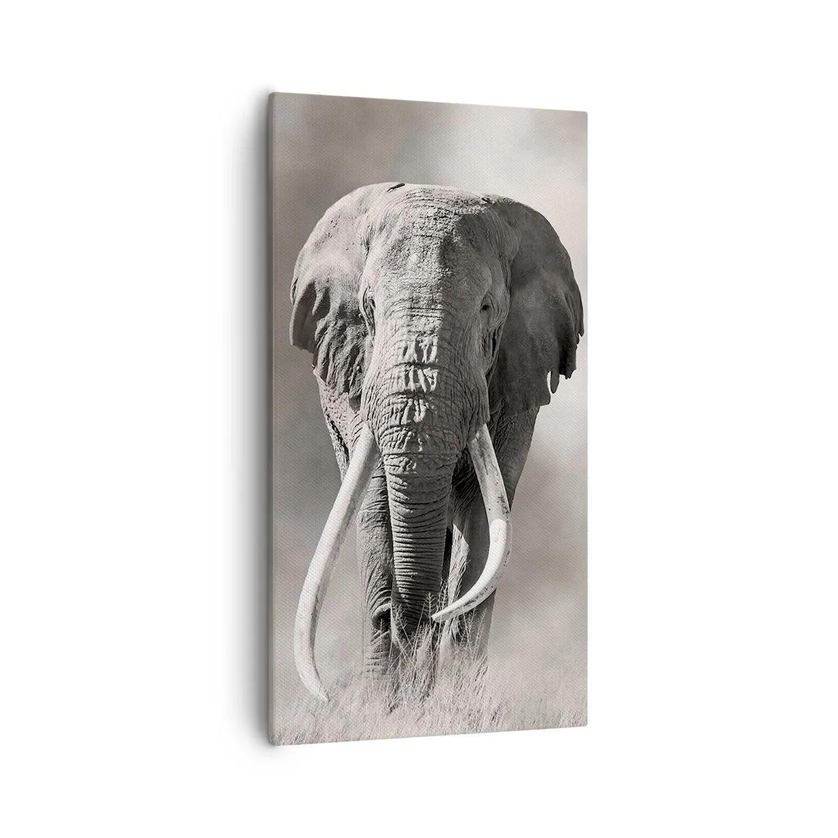 Impression sur toile - Image sur toile - Patriarche africain - 55x100 cm