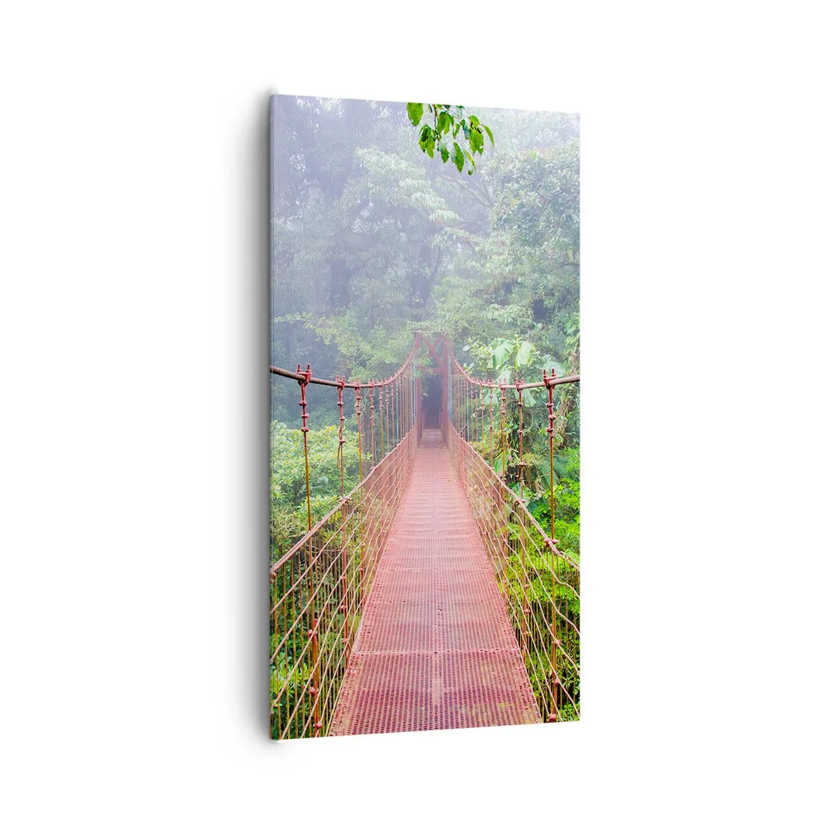 Impression sur toile - Image sur toile - Suspendu sur les couronnes - 65x120 cm