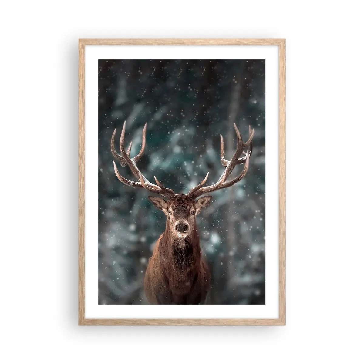 Affiche dans un chêne clair - Poster - Roi de la forêt couronné - 50x70 cm