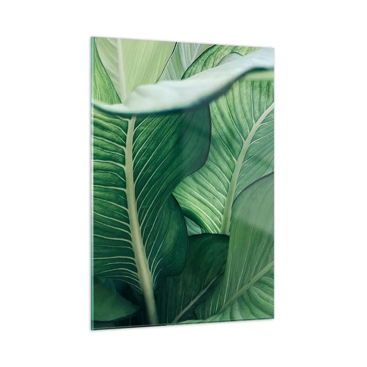 Impression sur verre - Image sur verre - Feuilles vertes luxuriantes en gros plan et à la lumière naturelle - 50x70cm - Une vie intensément verte - Décoration murale moderne pour le salon et la chambre ARTTOR