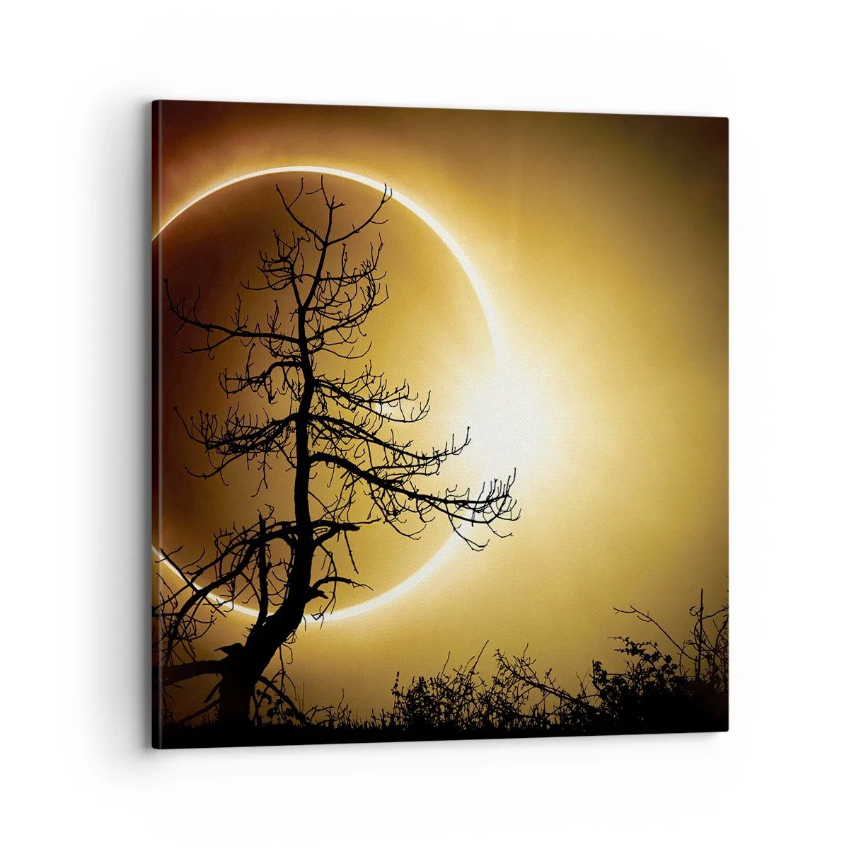 Impression sur toile - Image sur toile - Éclipse totale - 70x70 cm