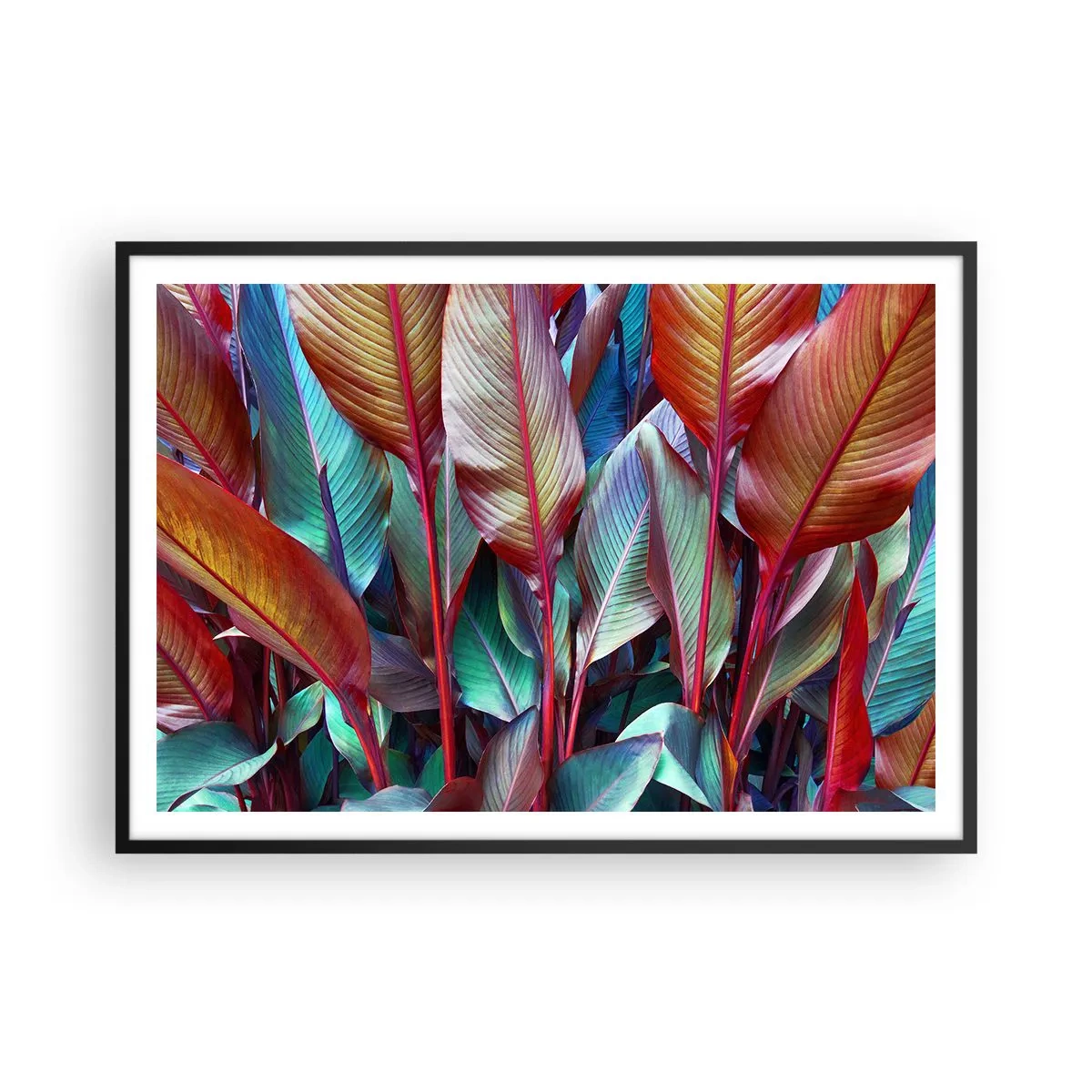 Affiche dans un cadre noir - Poster - Feuilles colorées de plantes tropicales dans le fourré - 100x70cm - Un fourré coloré - Décoration murale moderne pour le salon et la chambre ARTTOR