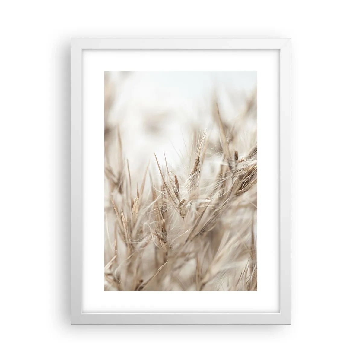 Affiche dans un cadre blanc - Poster - Prairie et vent - 30x40 cm