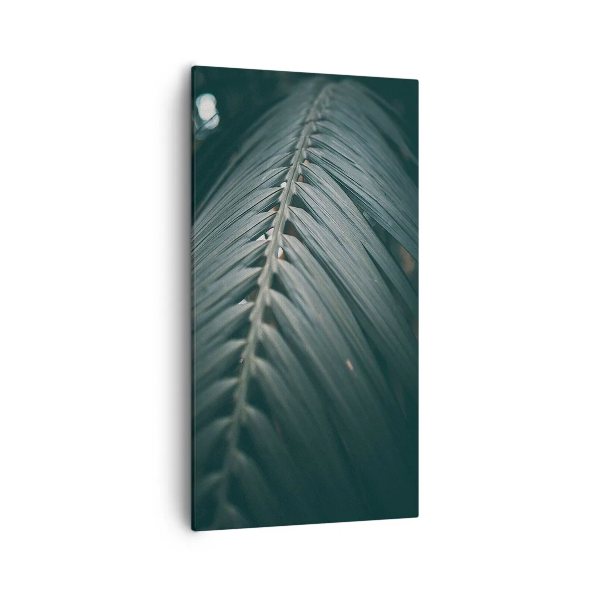 Impression sur toile - Image sur toile - Précision de la nature - 55x100 cm