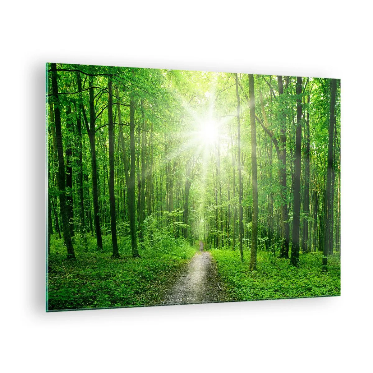 Impression sur verre - Image sur verre - Un chemin dans la forêt éclairé par les rayons du soleil - 70x50cm - Cathédrale verte - Décoration murale moderne pour le salon et la chambre ARTTOR