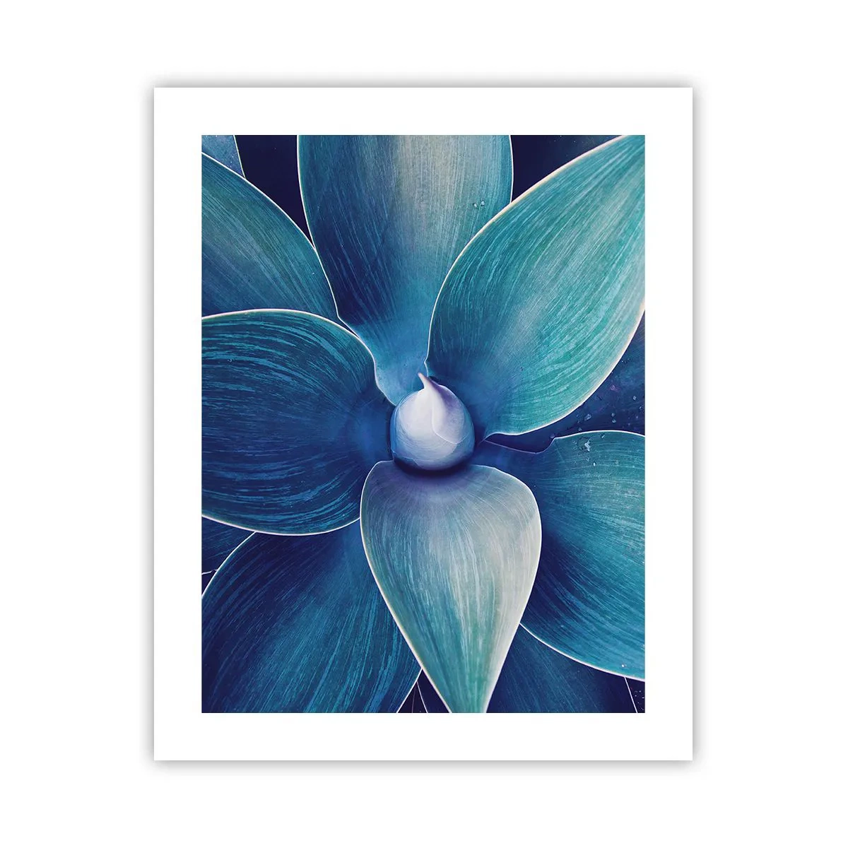 Affiche - Poster - Le bleu du ciel - 40x50 cm