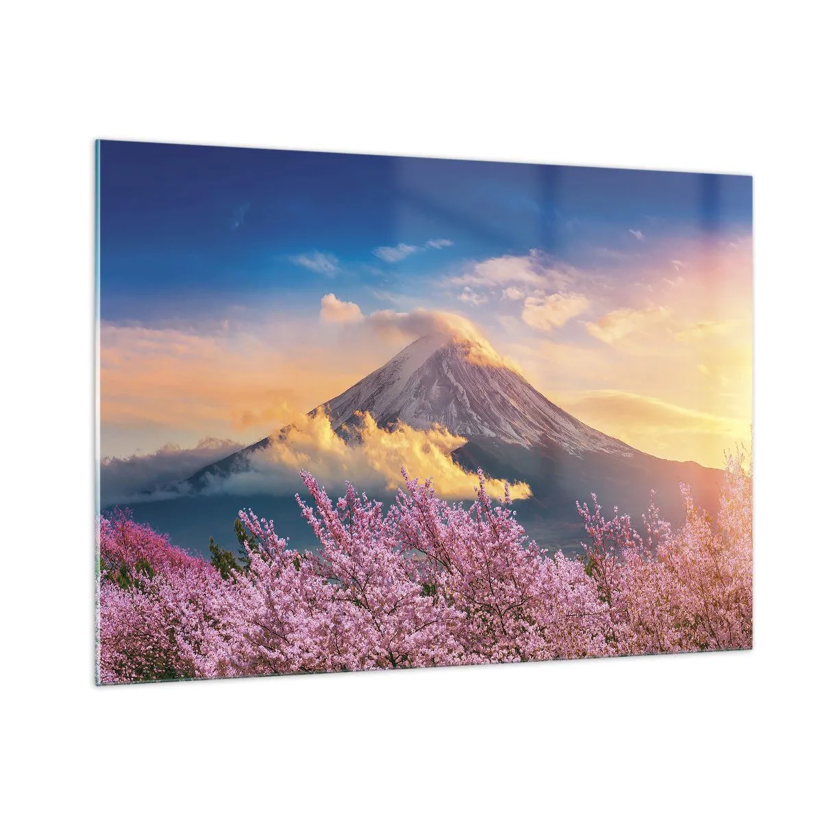 Impression sur verre - Image sur verre - Le mont Fuji en arrière-plan avec des sakura en fleurs au premier plan - 100x70cm - Sainteté japonaise - Décoration murale moderne pour le salon et la chambre ARTTOR