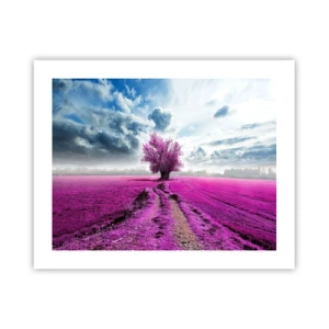 Affiche - Poster - Lande - nature sauvage - 50x40 cm