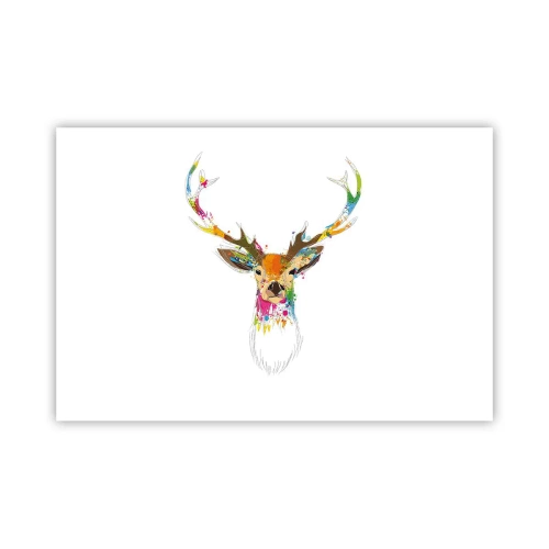 Affiche - Poster - Un cerf doux baigné de couleur - 91x61 cm