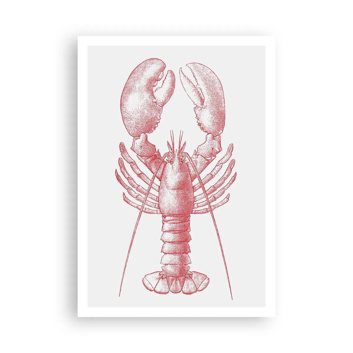 Affiche - Poster - Un homard digne d'Homère - 70x100 cm