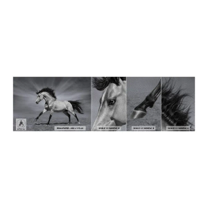 Échantillon de Papier Peint Premium Sand - Né pour séduire - Animaux, Cheval, Nature - 100x30 cm