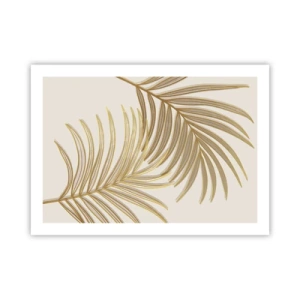 Affiche - Poster - Palme d'or! - 70x50 cm