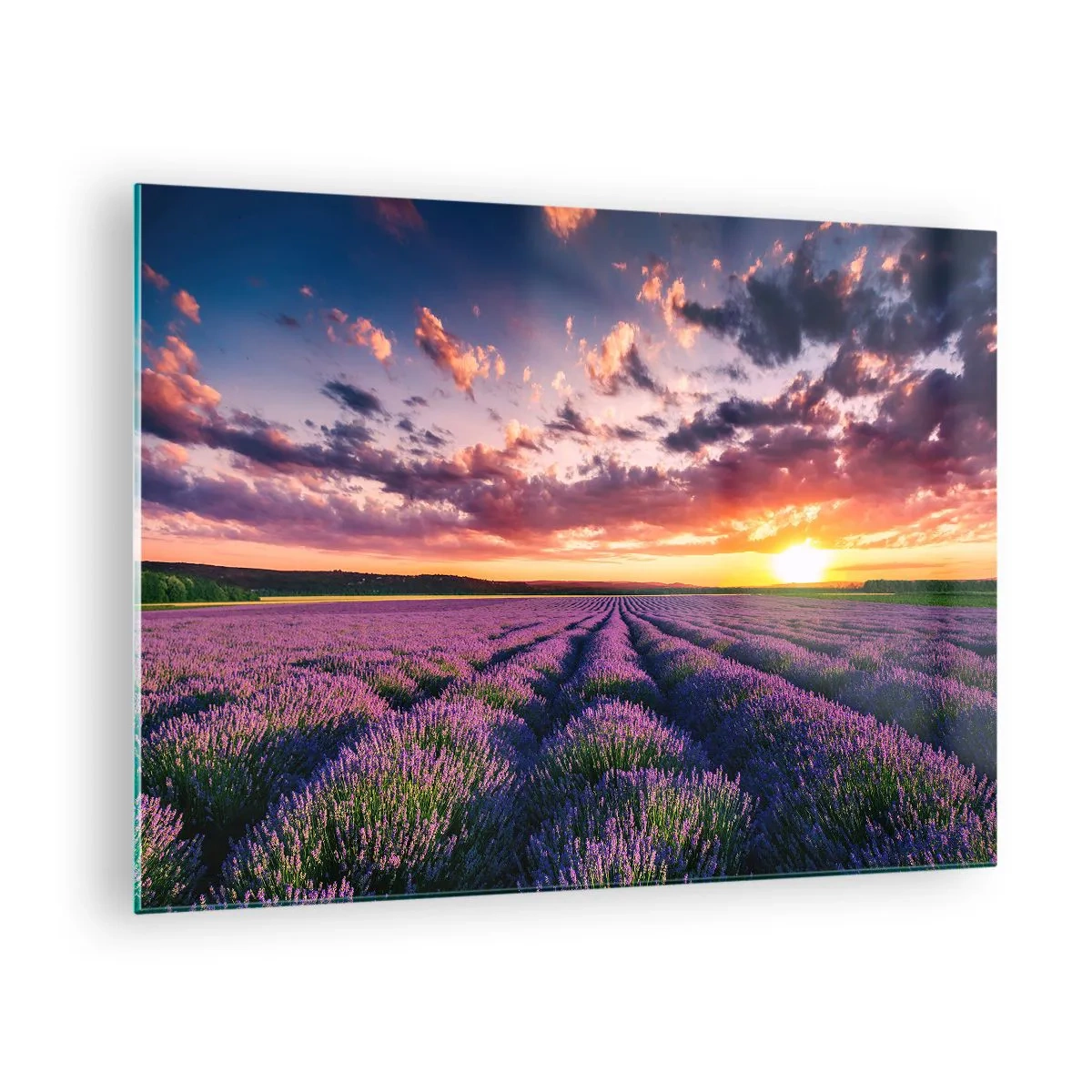 Impression sur verre - Image sur verre - Un champ de lavande au coucher du soleil avec un ciel coloré et des nuages - 70x50cm - Monde de lavande - Décoration murale moderne pour le salon et la chambre ARTTOR