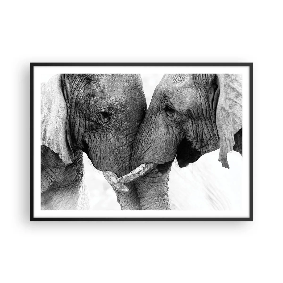 Affiche dans un cadre noir - Poster - Deux éléphants dans un geste tendre sur un fond monochrome - 100x70cm - Confession sincère - Décoration murale moderne pour le salon et la chambre ARTTOR