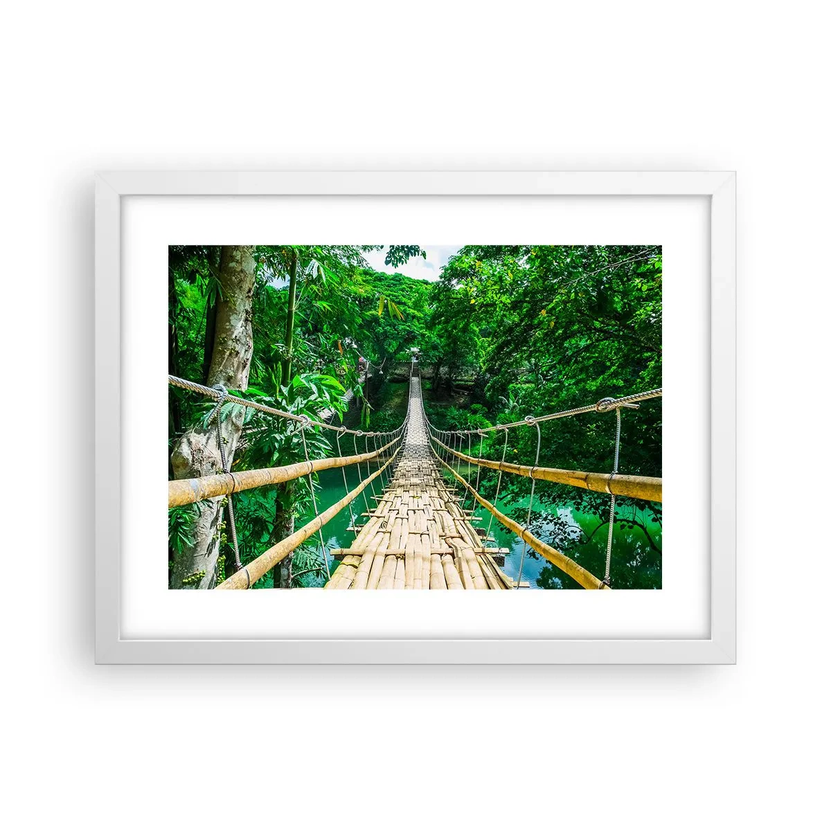 Affiche dans un cadre blanc - Poster - Pont de singe en pleine nature - 40x30 cm