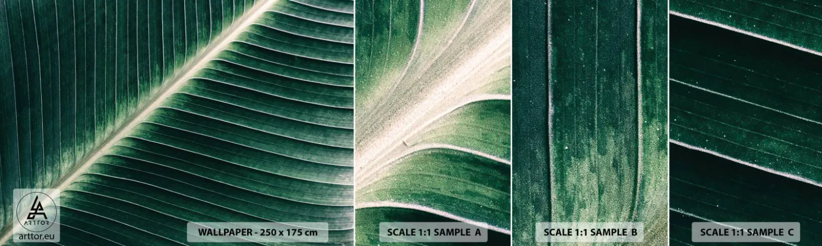 Échantillon de Papier Peint Autocollant Deluxe Sticker - Le rythme de la nature - Abstraction, Feuille verte, Graphique - 100x30 cm