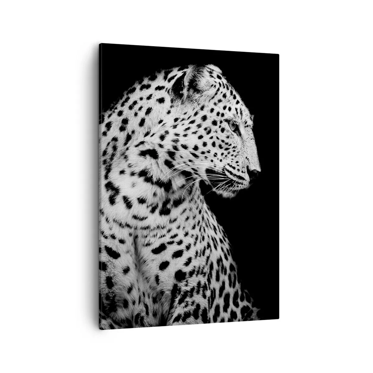 Impression sur toile - Image sur toile - Image en noir et blanc d'un léopard sur fond noir - 50x70cm - Presque un profil parfait! - Décoration murale moderne pour le salon et la chambre ARTTOR