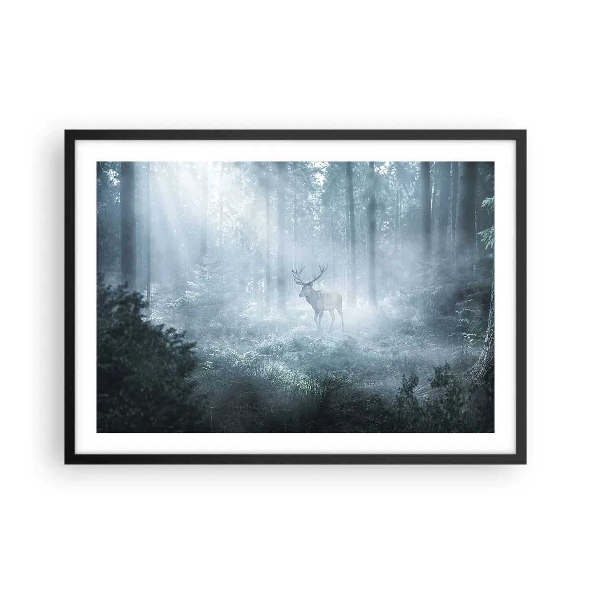 Affiche dans un cadre noir - Poster - Un cerf dans une forêt dense enveloppée de brume matinale - 70x50cm - Visite matinale du domaine - Décoration murale moderne pour le salon et la chambre ARTTOR