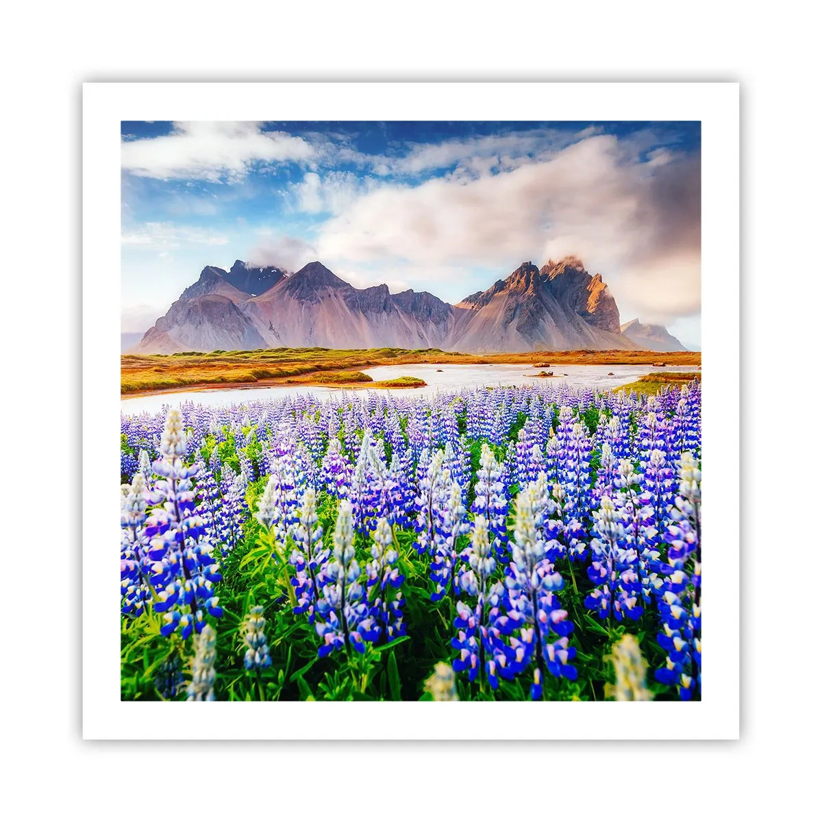 Affiche - Poster - La force et l'austérité côtoient la douceur - 60x60 cm