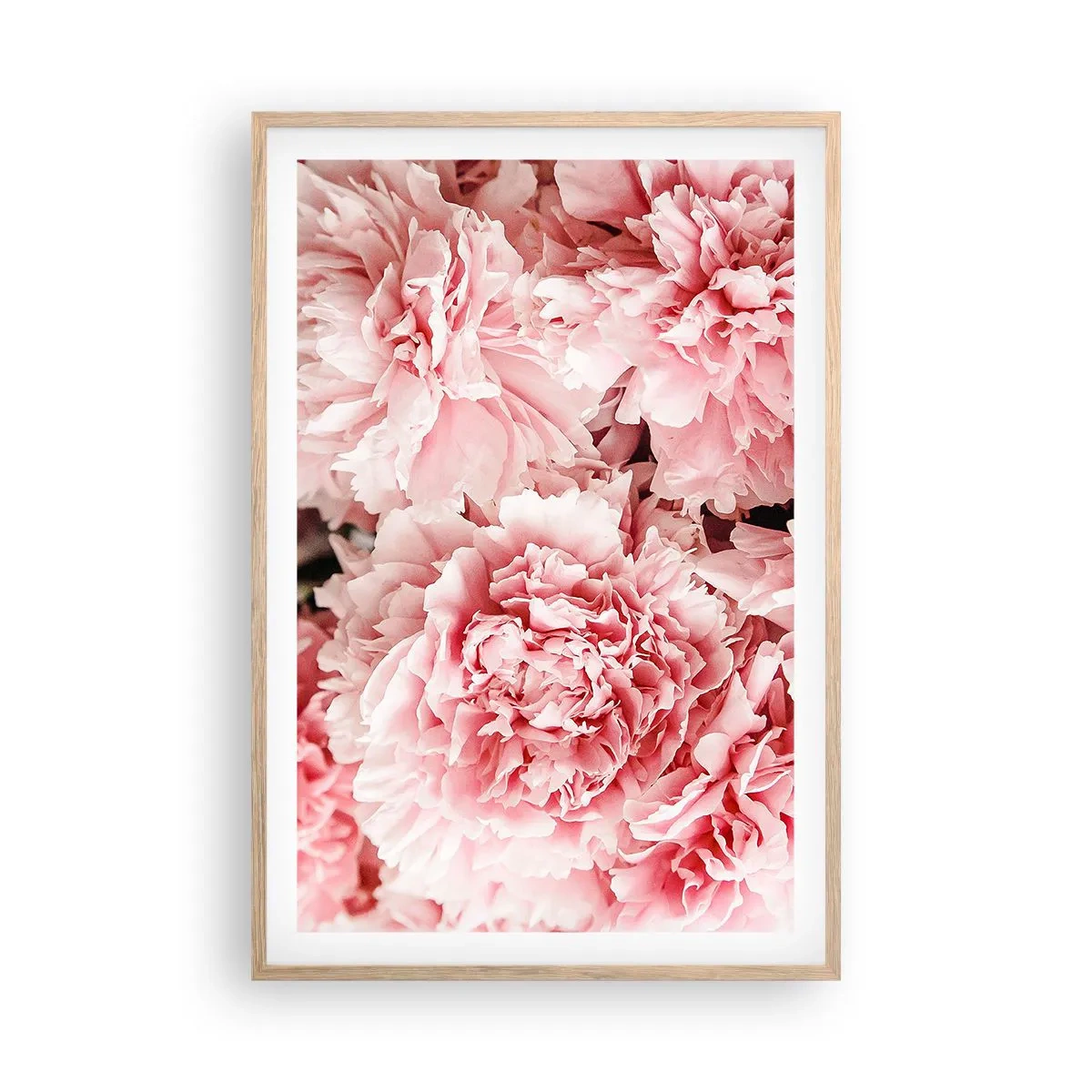 Affiche dans un chêne clair - Poster - Rêve rose - 61x91 cm
