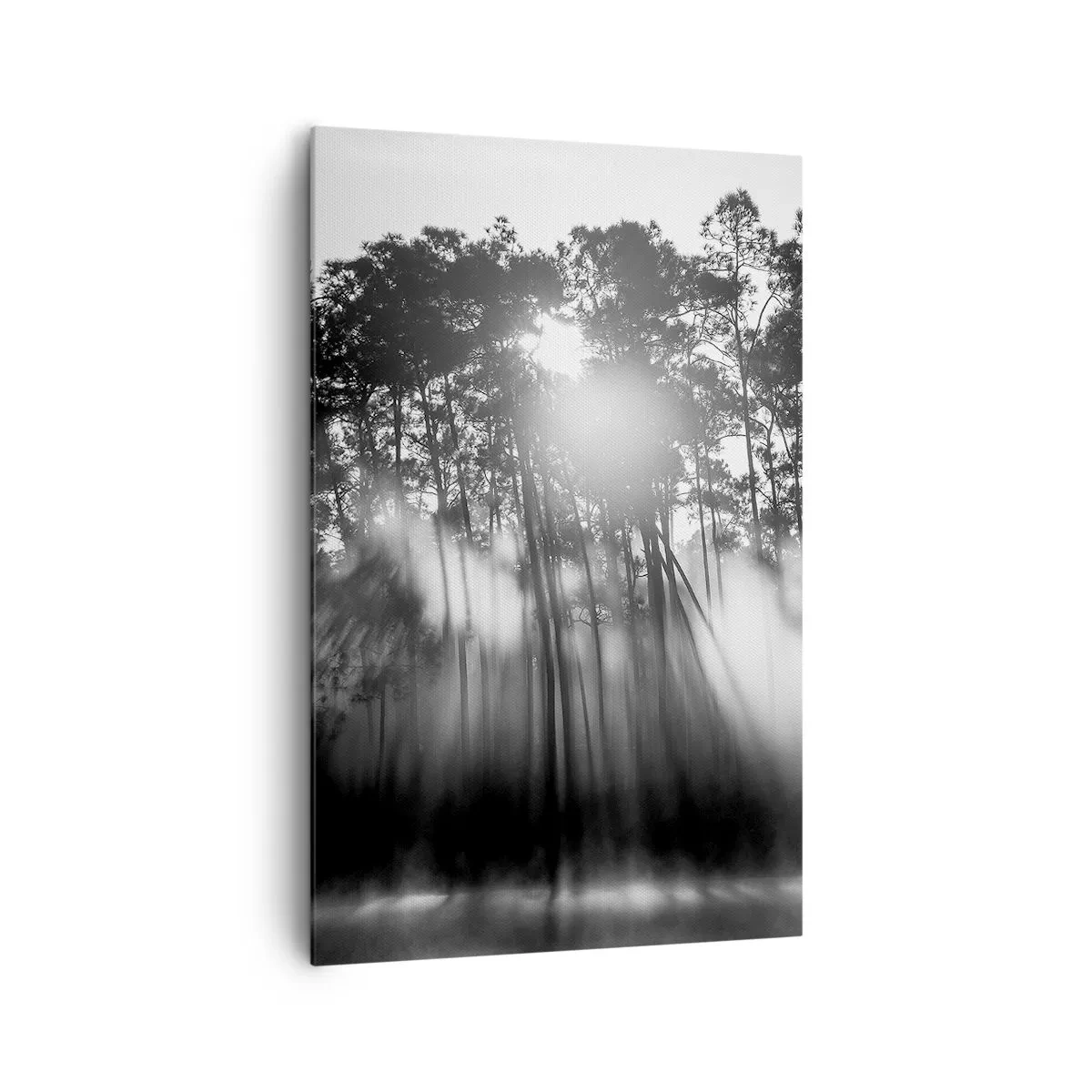 Impression sur toile - Image sur toile - Forêt noire et blanche dans le brouillard du matin - 80x120cm - Soleil inarrêtable - Décoration murale moderne pour le salon et la chambre ARTTOR