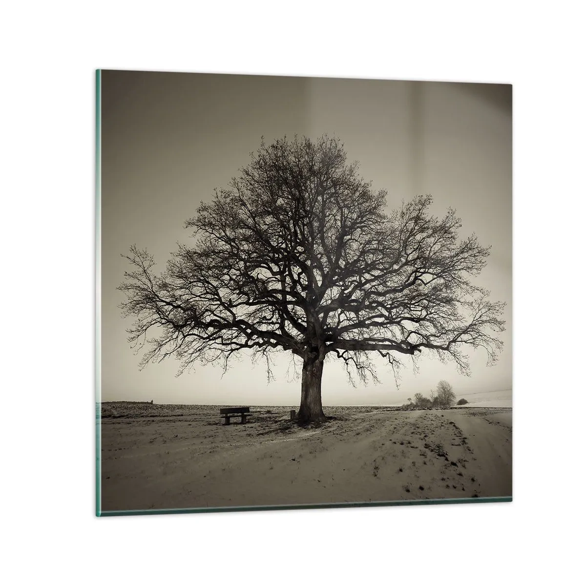 Impression sur verre - Image sur verre - D'ici à l'éternité - 50x50 cm