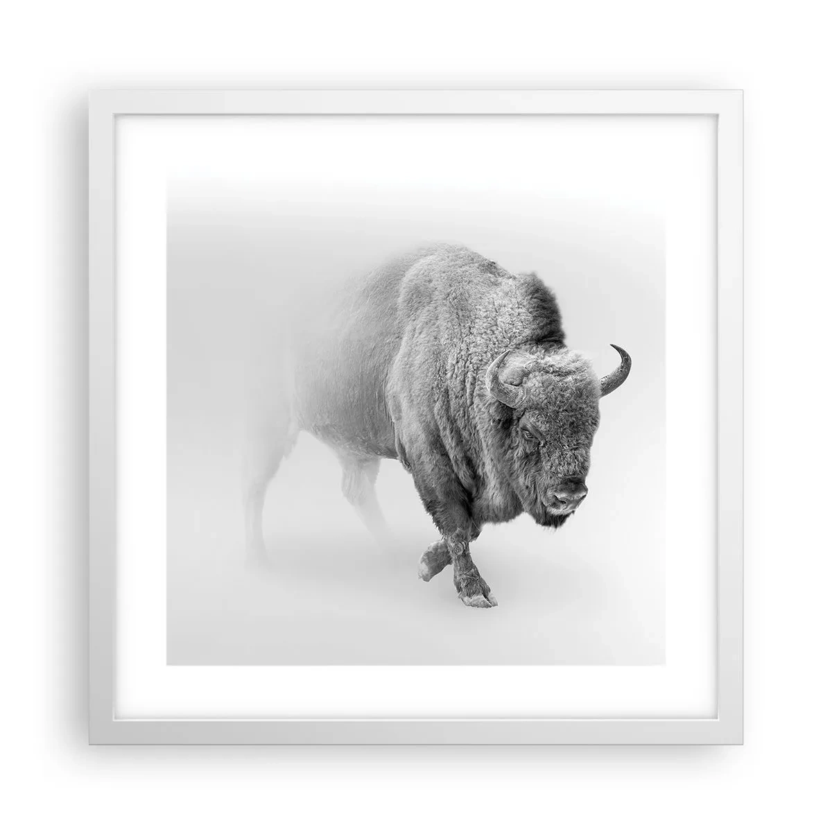 Affiche dans un cadre blanc - Poster - Roi de la prairie - 40x40 cm