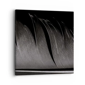 Impression sur toile - Image sur toile - La plume – un design magnifique - 40x40 cm