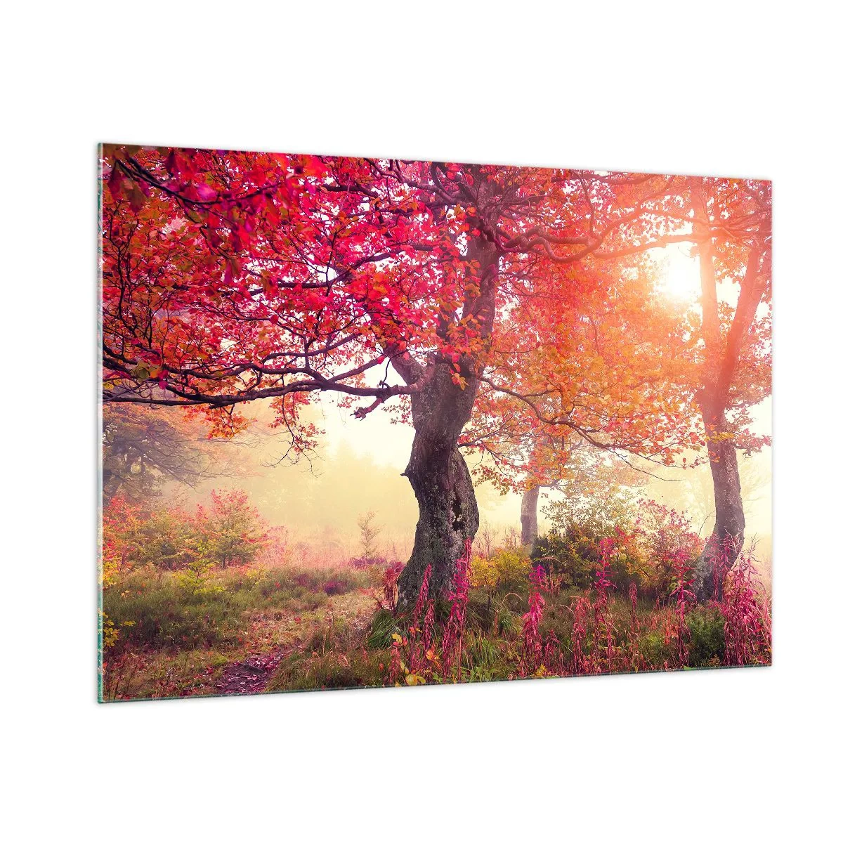 Impression sur verre - Image sur verre - Forêt d'automne avec des rayons de soleil le matin - 100x70cm - Frénésie de floraison - Décoration murale moderne pour le salon et la chambre ARTTOR