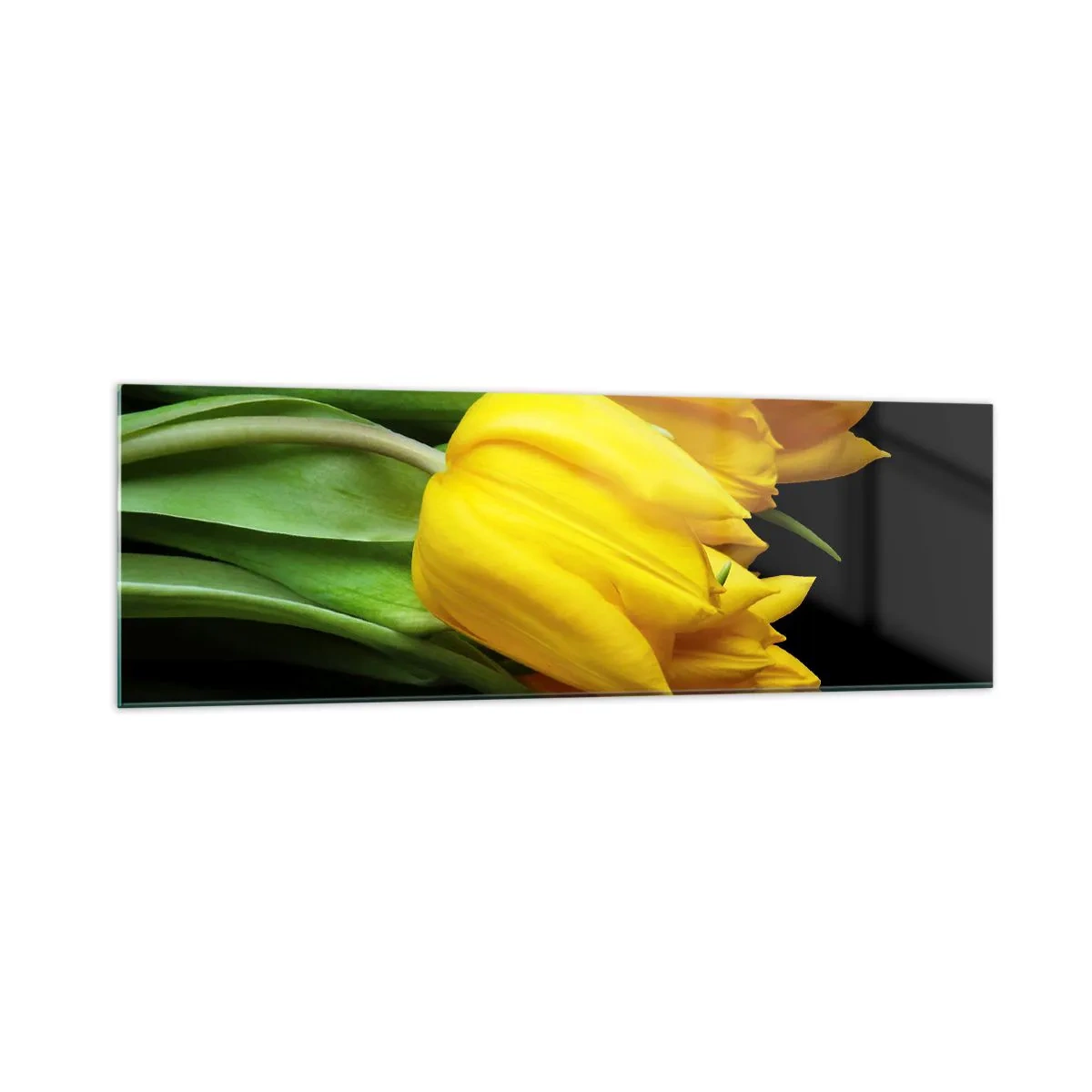 Impression sur verre - Image sur verre - Un bouquet de tulipes jaunes sur fond noir - 160x50cm - Lever de soleil pur - Décoration murale moderne pour le salon et la chambre ARTTOR