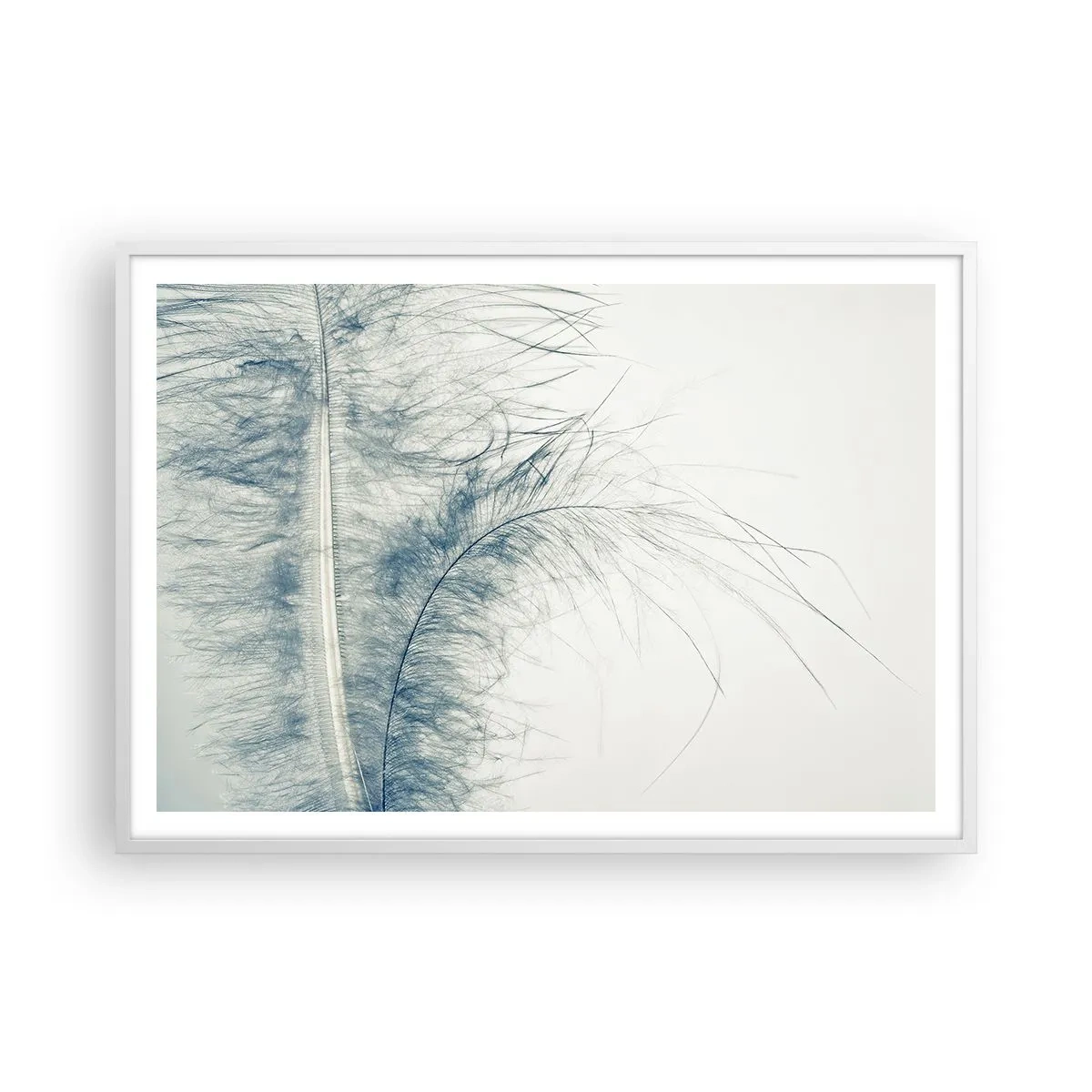 Affiche dans un cadre blanc - Poster - Les sept natures - 100x70 cm