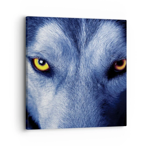 Impression sur toile - Image sur toile - Regars hypnotique - 30x30 cm