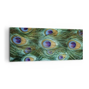 Impression sur toile - Image sur toile - Détails des plumes de paon aux couleurs riches - 120x50cm - Un regard de paon - Décoration murale moderne pour le salon et la chambre ARTTOR